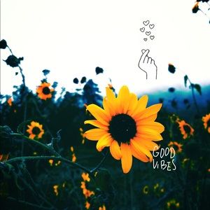 Meet your Posher, Isabelle